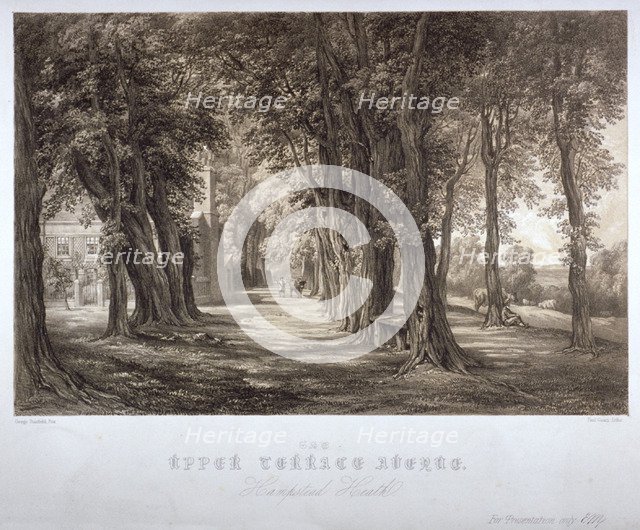 The Upper Terrace Avenue, Hampstead Heath, London, c1840. Artist: Paul Gauci