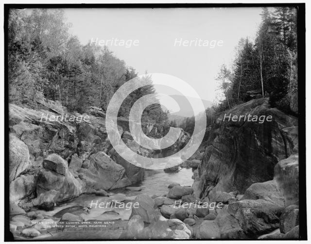 Saco River looking down near Bemis, Crawford Notch, White Mountains, between 1890 and 1901. Creator: Unknown.