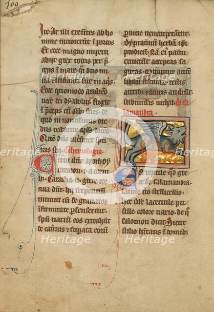 A Salamander; De Natura Avium; De Pastoribus et Ovibus, 1277 or after. Creator: Unknown.