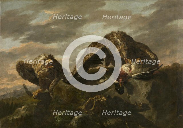 Eagles, c1630-1660. Creator: Jan Fyt.