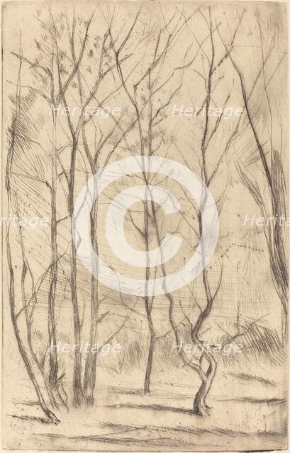 The Dam Wood, 1875. Creator: James Abbott McNeill Whistler.