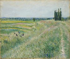 La Plaine de Gennevilliers, groupe de peupliers, ca. 1883. Creator: Caillebotte, Gustave (1848-1894).