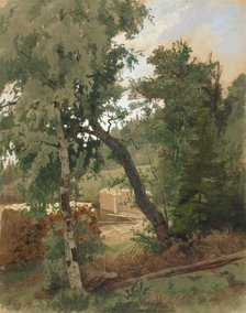 Landscape from Leppalahti, 1859. Creator: Werner Holmberg.