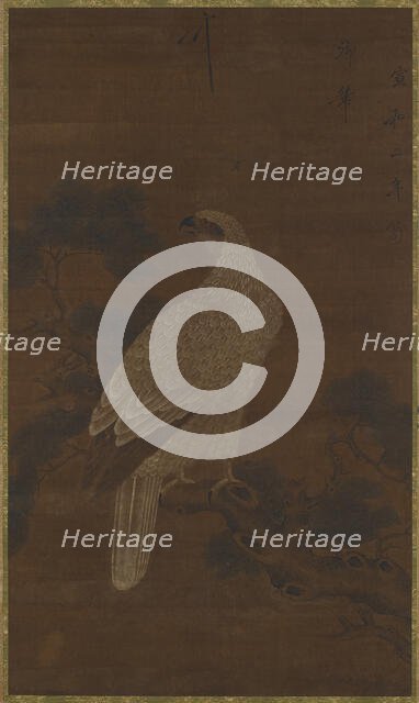 A White eagle on a pine branch, Ming or Qing dynasty, (17th century?). Creator: Unknown.