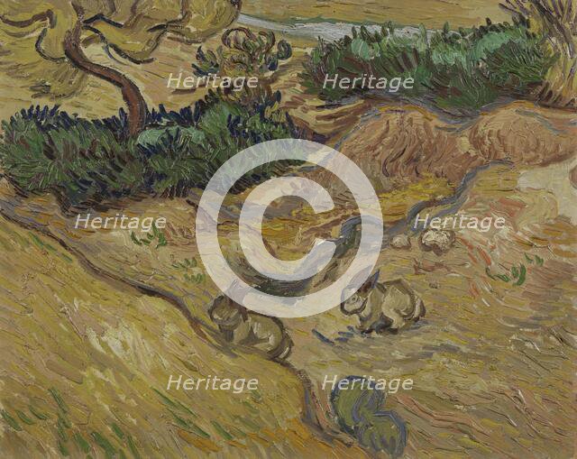 Landscape with Rabbits , 1889. Creator: Gogh, Vincent, van (1853-1890).