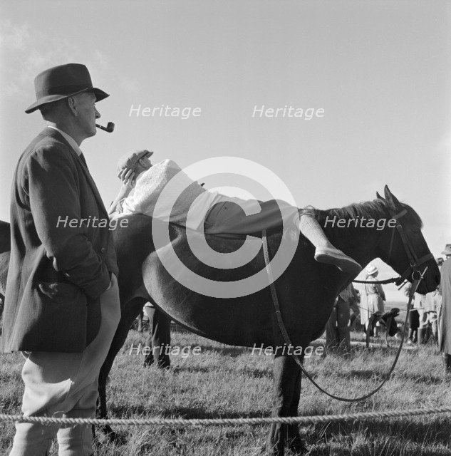 A pony on Exmoor, Somerset, c1946-c1959. Artist: John Gay