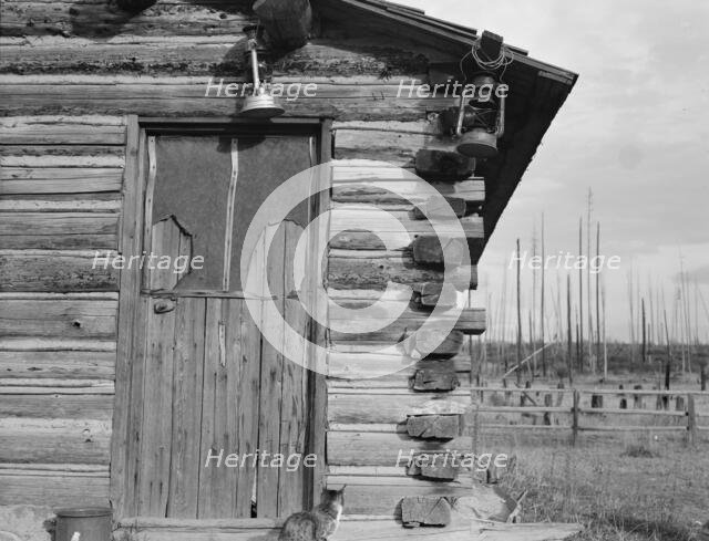 Log home, farm established 6 years ago, Priest River Peninsula, Bonner County, Idaho, 1939 Creator: Dorothea Lange.