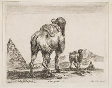 Plate 18: camel viewed from behind with pyramid at left, from 'Various animals' (Diver..., ca. 1641. Creator: Stefano della Bella.