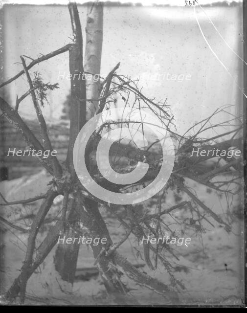 Northern Alaska Exploring Expedition, 1884-1886. Creator: Unknown.