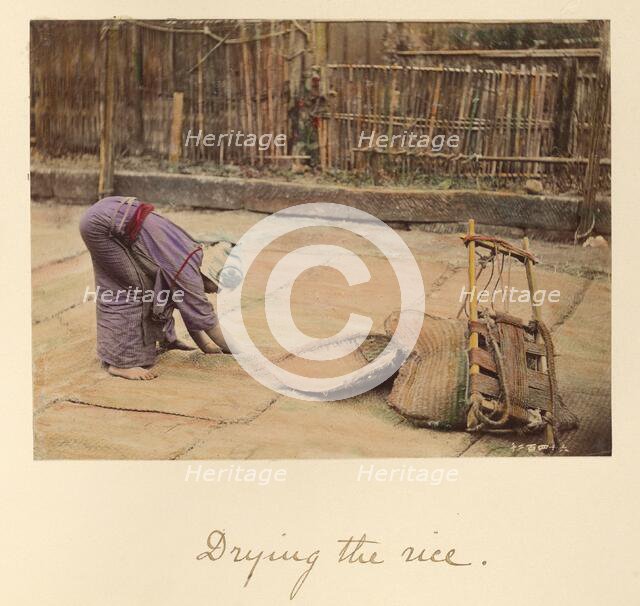 Drying the Rice, about 1873-1883. Creator: Shinichi Suzuki I.