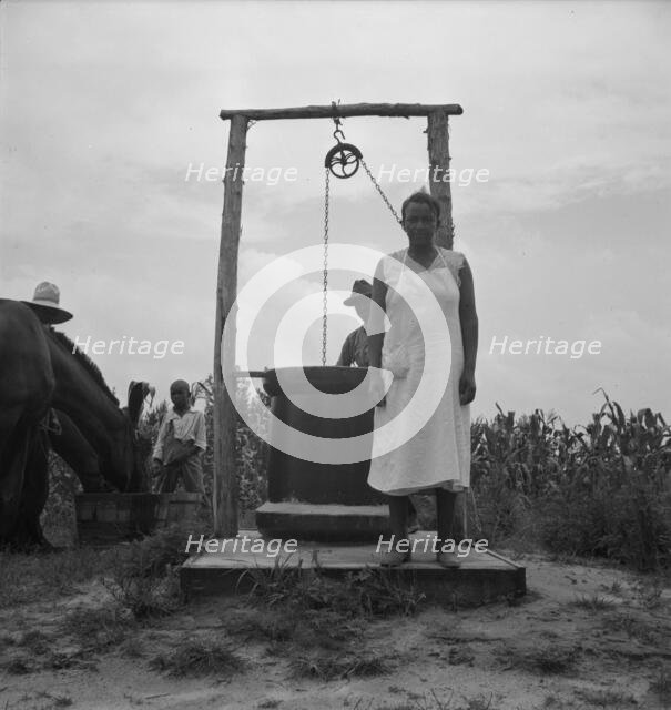 Possibly: Negro sharecropper tobacco farm, Person County, North Carolina, 1939. Creator: Dorothea Lange.