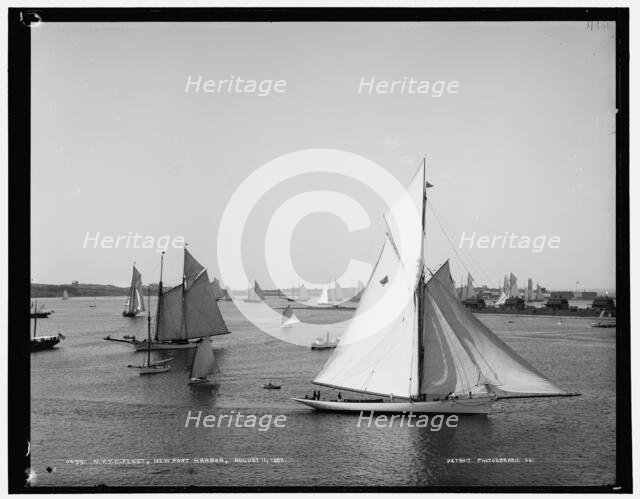 N.Y.Y.C. fleet, Newport harbor, 1888 Aug 11. Creator: Unknown.