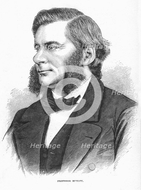 Thomas Henry Huxley, British biologist, c1860s. Artist: Unknown