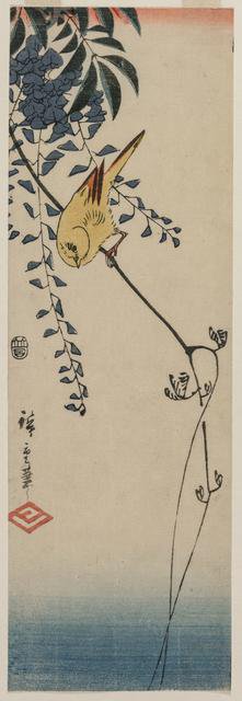 Canary and Wisteria, mid-1840s. Creator: Ando Hiroshige (Japanese, 1797-1858).