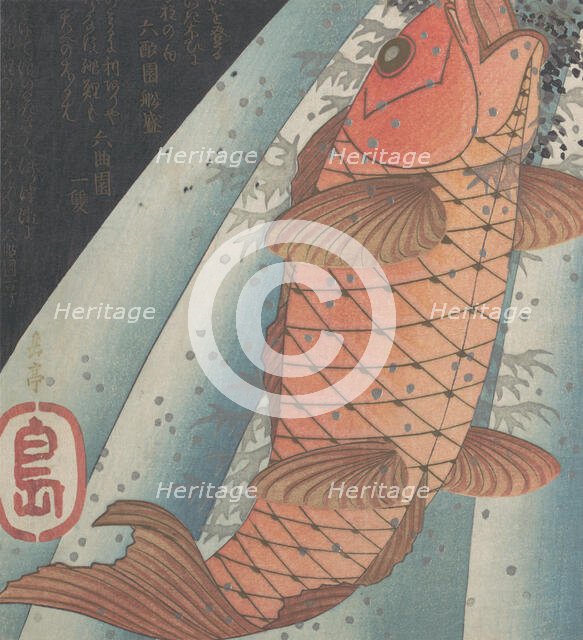 Red Carp Ascending a Waterfall , late 1820s. Creator: Gakutei.