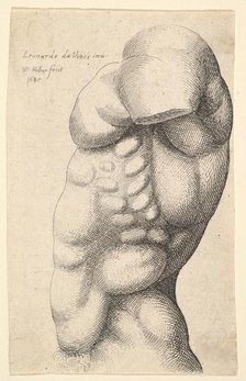 Male torso from neck to hip in profile to left, 1645. Creator: Wenceslaus Hollar.