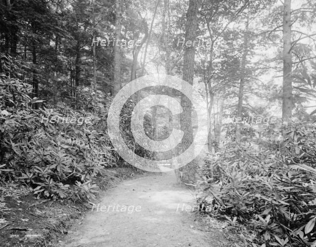 Laurel Lane, White Sulphur Springs, W. Va., c.between 1910 and 1920. Creator: Unknown.