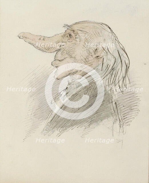 Caricatural head of an old man with a long nose, c.1854-c.1887. Creator: Alexander Ver Huell.