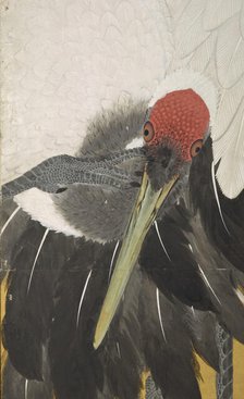 Cranes (image 6 of 20), An'ei period (1772-1780). Creator: Maruyama Okyo.