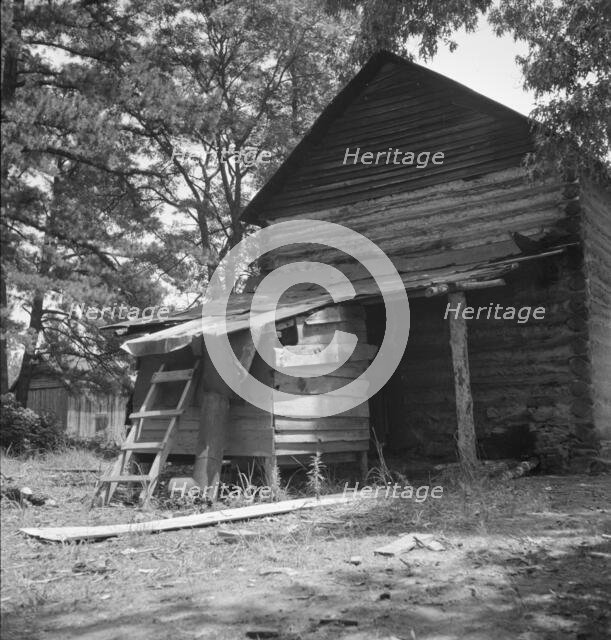 Possibly: Young son of tenant farmer gathering sticks..., Granville County, North Carolina, 1939. Creator: Dorothea Lange.