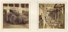 [View of Large Plant with Sign Requesting Viewers Not to Touch; Telescope Gallery], ca. 1859. Creator: Attributed to Philip Henry Delamotte.