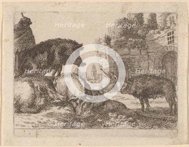 Pigs. Creator: Herman van Swanevelt.