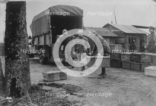 Belgian Army pigeons, between c1915 and c1920. Creator: Bain News Service.