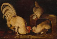 Farmyard Fowls, c. 1827. Creator: John James Audubon.