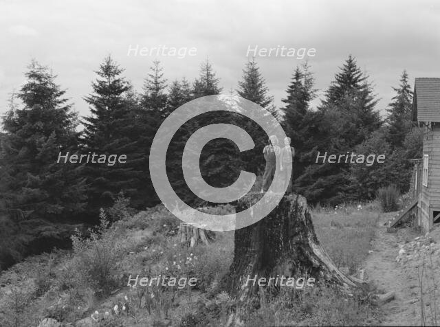 Possibly: Shows charater of the land...Elma, Grays Harbor County, Western Wasington, 1939. Creator: Dorothea Lange.