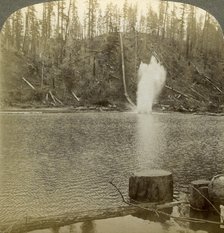 Log flume, Oregon, USA.Artist: Underwood & Underwood