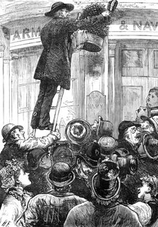 Swarm of bees in Wellington-Street, Strand, 1881. Creator: Unknown.