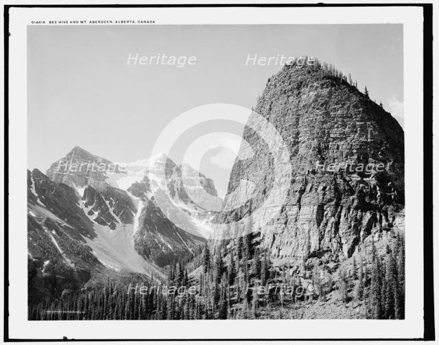 Bee Hive and Mt. Aberdeen, Alberta, Canada, c1902. Creator: Unknown.