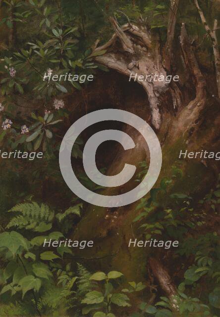 The Squirrel, 1860s/70s. Creator: Seymour Joseph Guy.