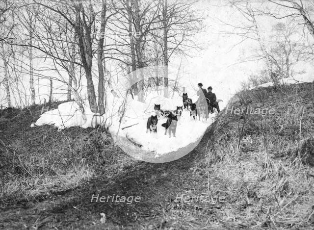 Dog sled in the forest, 1910-1929. Creator: Ivan Emelianovich Larin.