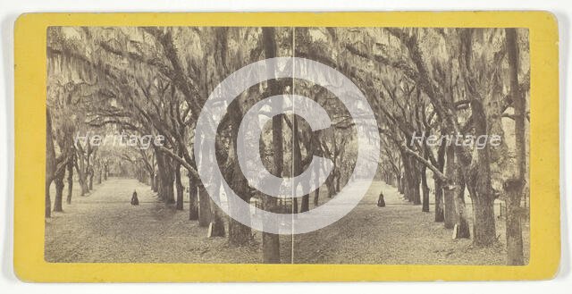 Bonaventure, 1860/80. Creator: J. N. Wilson.