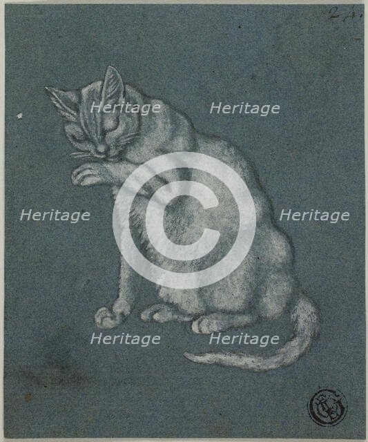 Cat Licking Paw, n.d. Creator: Unknown.