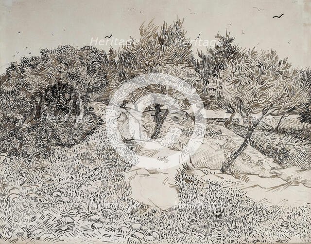 Oliviers à Montmajour, 1888. Creator: Gogh, Vincent, van (1853-1890).