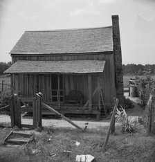 Home of turpentine worker near Godwinsville, Georgia, 1937. Creator: Dorothea Lange.