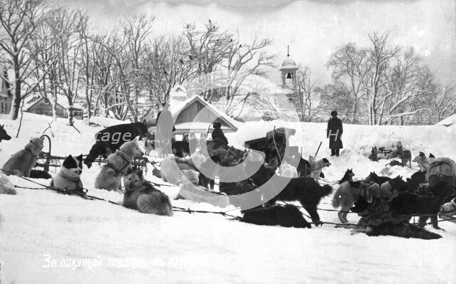 Petropavlovsk-Kamchatsky in winter; dog sleds against the backdrop of the Peter and Paul..., 1910-19 Creator: Ivan Emelianovich Larin.