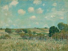 Meadow, 1875. Creator: Alfred Sisley.