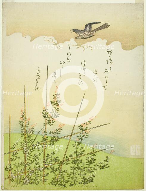 Cuckoo flying over deutzia flowers, Japan, c. 1766. Creator: Komatsuya Hyakki.