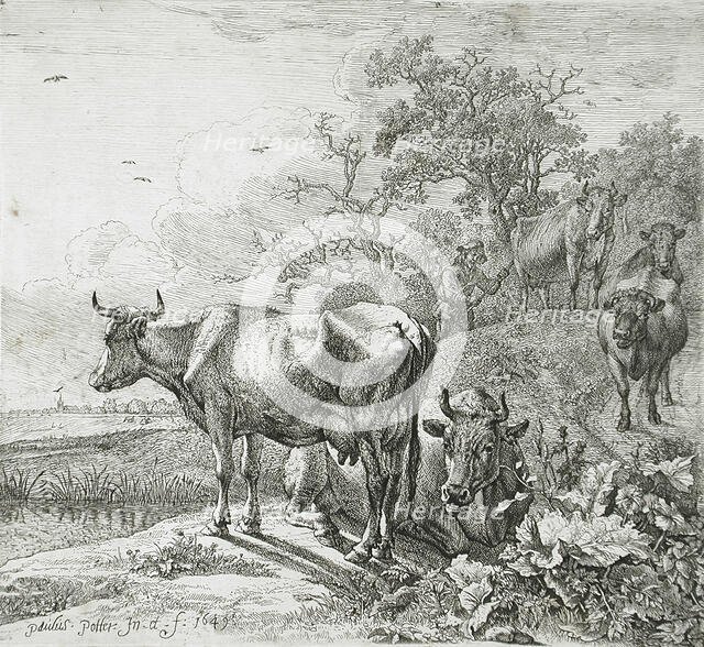 View of a Meadow, 1649. Creator: Paulus Potter.