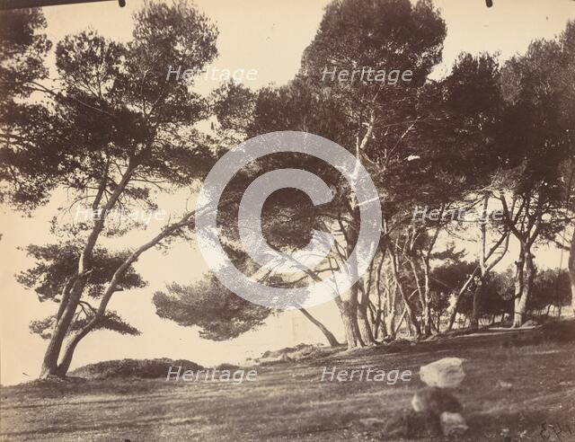 Cannes, Ile Saint Honorat, c1899-1927. Creator: Eugene Atget.