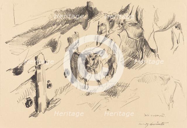 Kälber (Calves), 1912. Creator: Lovis Corinth.