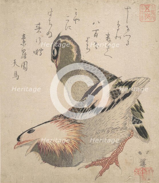 Two Birds. Creator: Totoya Hokkei.