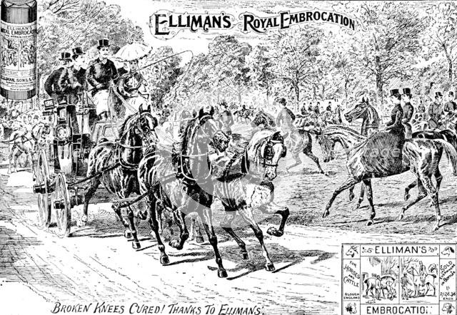 Advertisement for Elliman's Royal Embrocation, 1895. Creator: Joseph Swain.