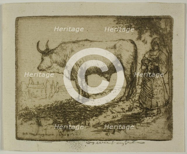 The White Ox, 1905. Creator: Donald Shaw MacLaughlan.