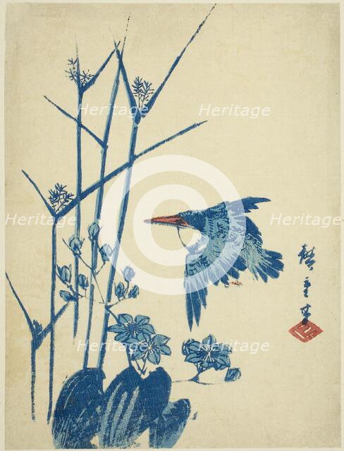 Kingfisher and monochoria, c. 1830/44. Creator: Ando Hiroshige.