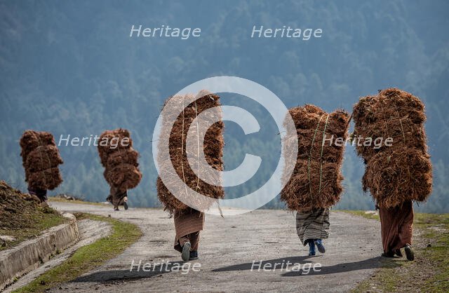 Heavy Load. Creator: Dorte Verner.