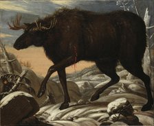 Moose, c17th century. Creator: David Klocker Ehrenstrahl.